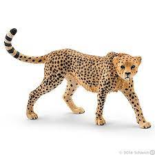 14746 CHEETAH FEMALE Online Sale