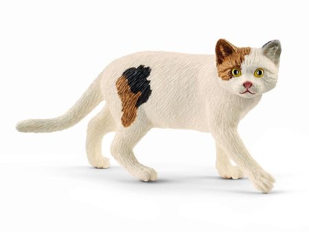 13894 SCHLEICH AMERICAN SHORTHAIR CAT Online